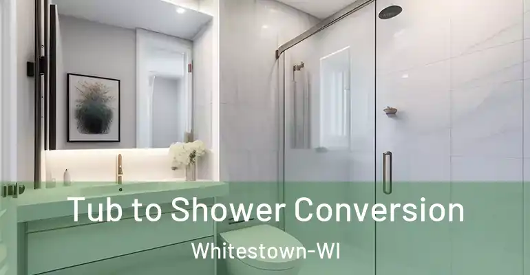inner Bathroom imggen Tub to Shower Conversion Whitestown-WI
