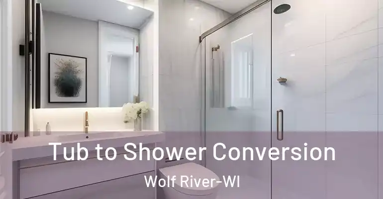 inner Bathroom imggen Tub to Shower Conversion Wolf River-WI