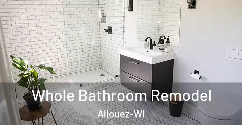 inner Bathroom imggen Whole Bathroom Remodel Allouez-WI
