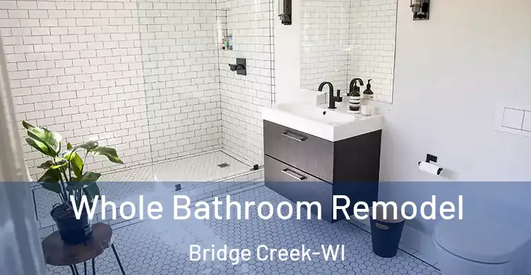 inner Bathroom imggen Whole Bathroom Remodel Bridge Creek-WI