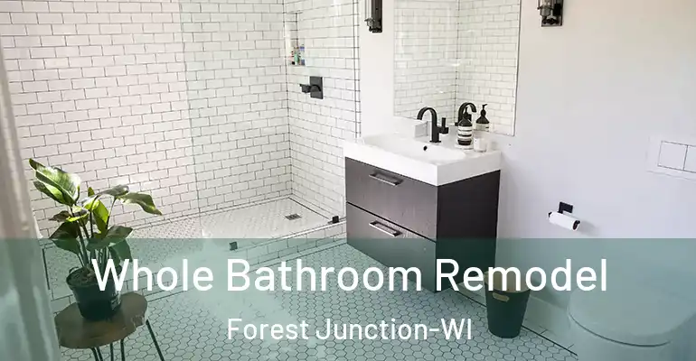 inner Bathroom imggen Whole Bathroom Remodel Forest Junction-WI