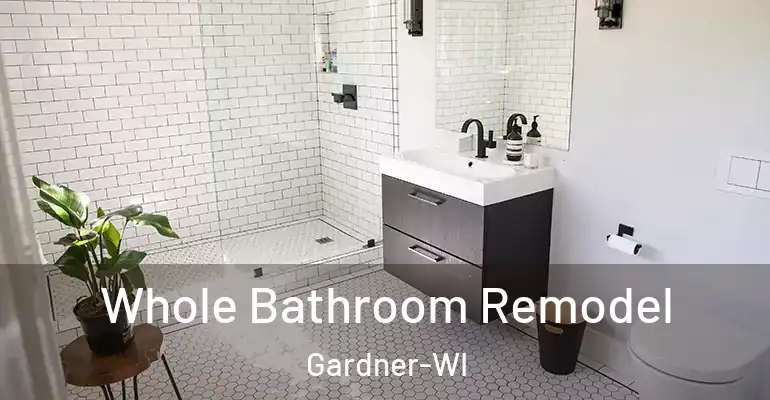 inner Bathroom imggen Whole Bathroom Remodel Gardner-WI