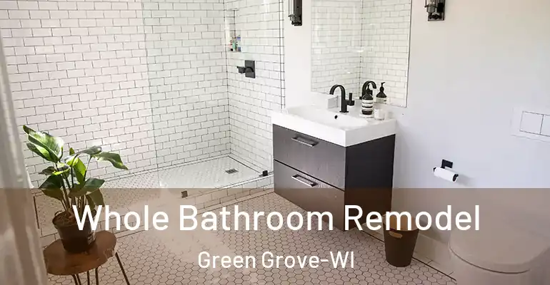 inner Bathroom imggen Whole Bathroom Remodel Green Grove-WI