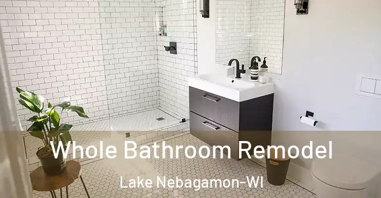 inner Bathroom imggen Whole Bathroom Remodel Lake Nebagamon-WI