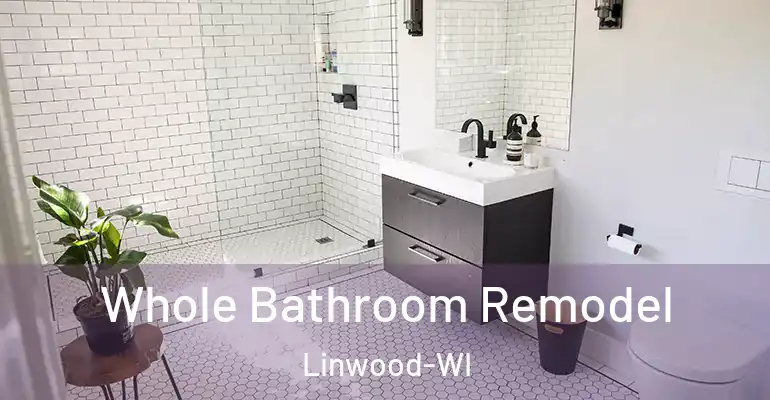 inner Bathroom imggen Whole Bathroom Remodel Linwood-WI