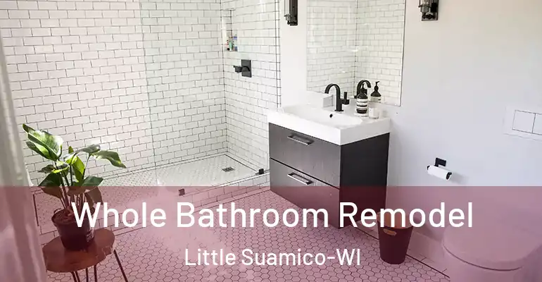 inner Bathroom imggen Whole Bathroom Remodel Little Suamico-WI