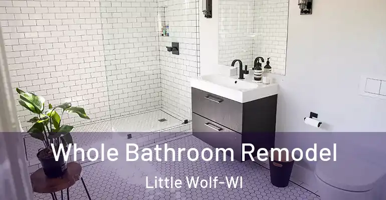inner Bathroom imggen Whole Bathroom Remodel Little Wolf-WI