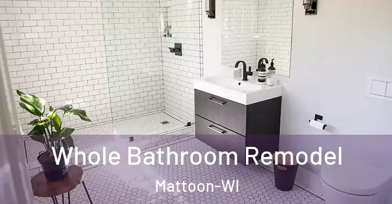 inner Bathroom imggen Whole Bathroom Remodel Mattoon-WI