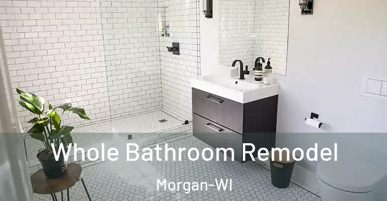inner Bathroom imggen Whole Bathroom Remodel Morgan-WI
