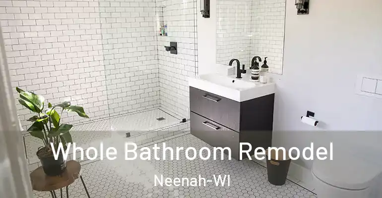 inner Bathroom imggen Whole Bathroom Remodel Neenah-WI