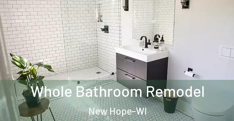 inner Bathroom imggen Whole Bathroom Remodel New Hope-WI