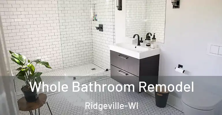 inner Bathroom imggen Whole Bathroom Remodel Ridgeville-WI