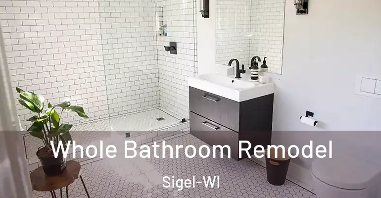 inner Bathroom imggen Whole Bathroom Remodel Sigel-WI