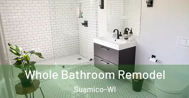 inner Bathroom imggen Whole Bathroom Remodel Suamico-WI