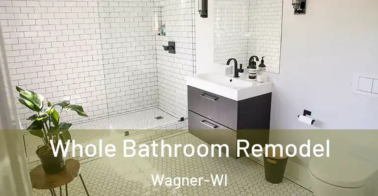inner Bathroom imggen Whole Bathroom Remodel Wagner-WI